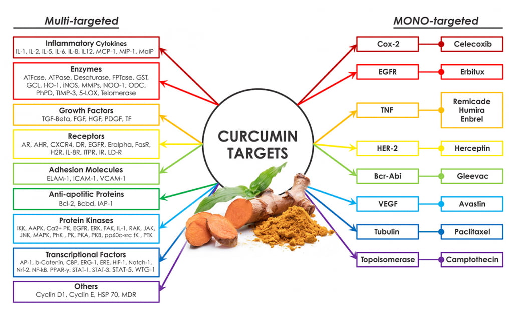 Curcumin Targets © Karl Lingenfelder – CuraNatur
